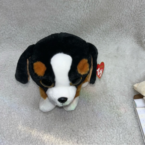 TY Classic Plush 2018 ROSCOE the Bernese Mountain Dog 9.5" gold glittery eyes - Picture 12 of 12